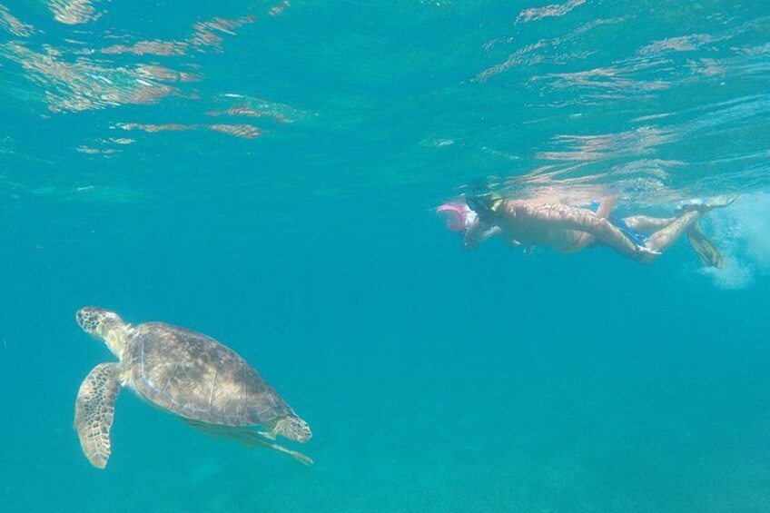 A person swimming with a sea turtle in clear blue water. 2