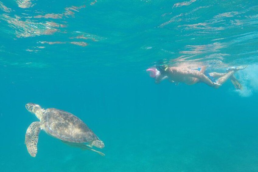 Una persona nuota insieme a una tartaruga marina in acque blu cristalline. 2