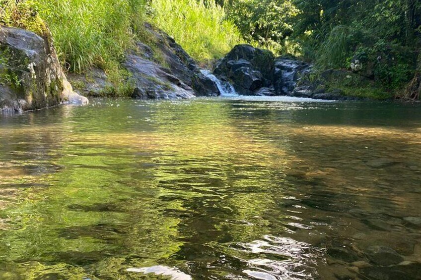 A clear stream with rocks and greenery. 3