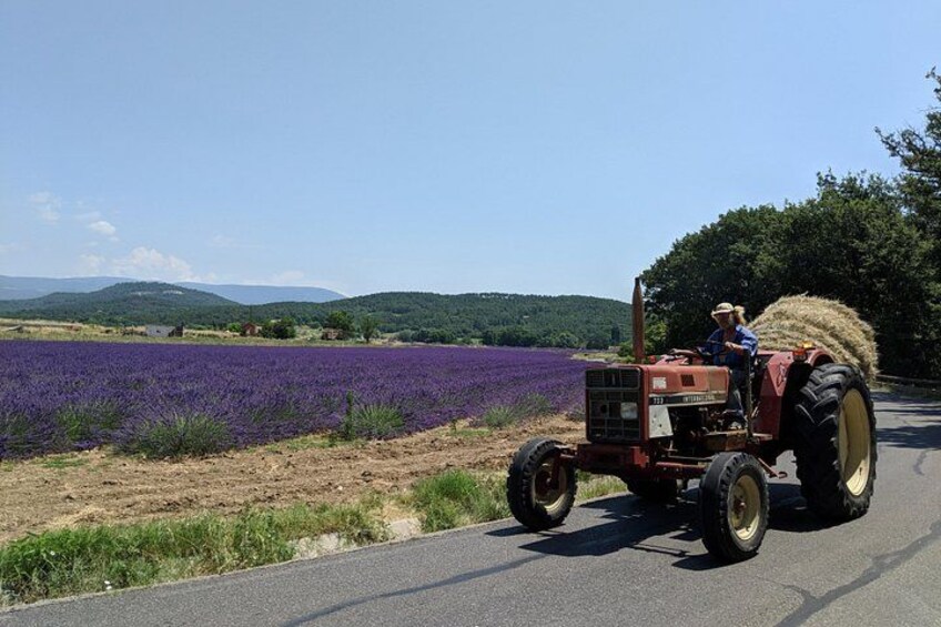 The hilltop villages of the Luberon 2