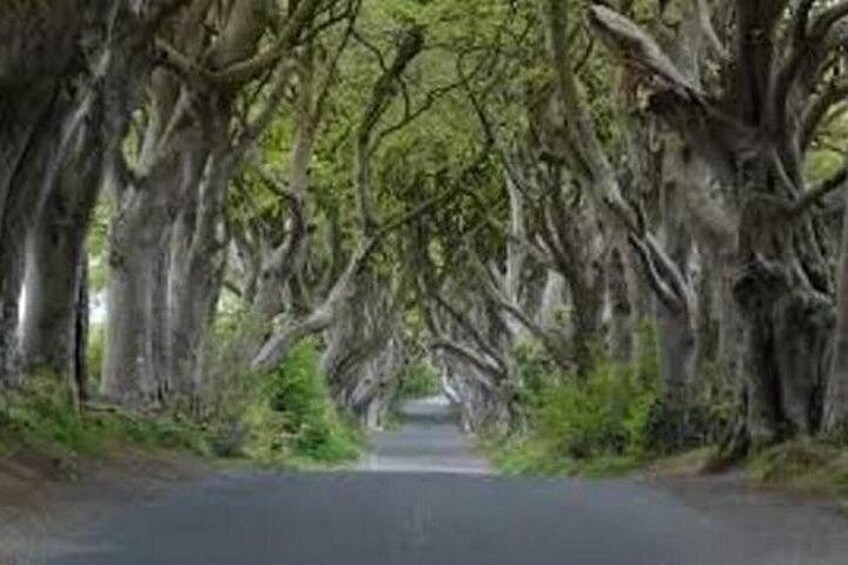 Luxury Tours Belfast. Full day Private Hire Tour for 2- 6 people 4