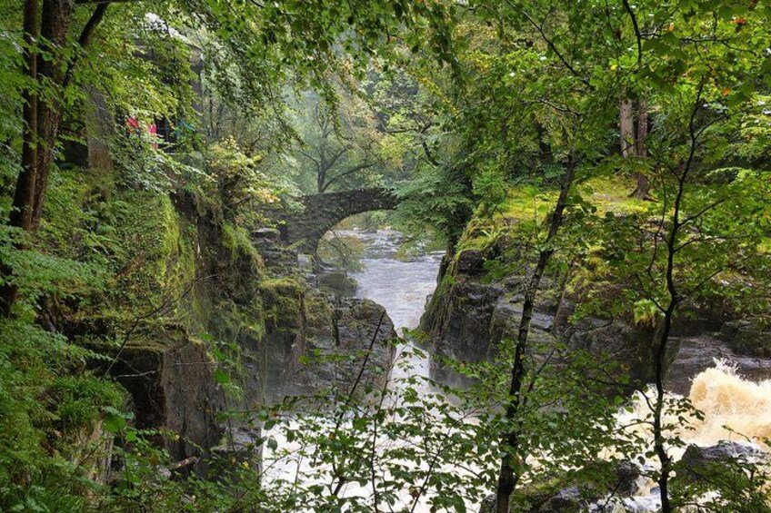A river flowing under a stone bridge surrounded by dense green foliage. 3