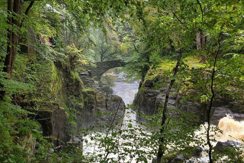 A forested area with a river, a stone bridge, and lush greenery. 2