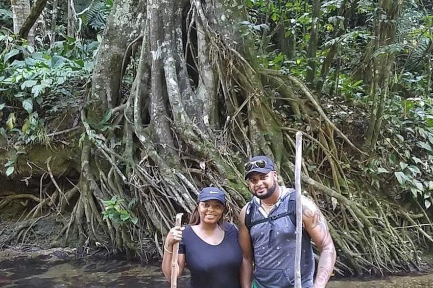 Two people standing in front of a large tree with extensive roots. 3