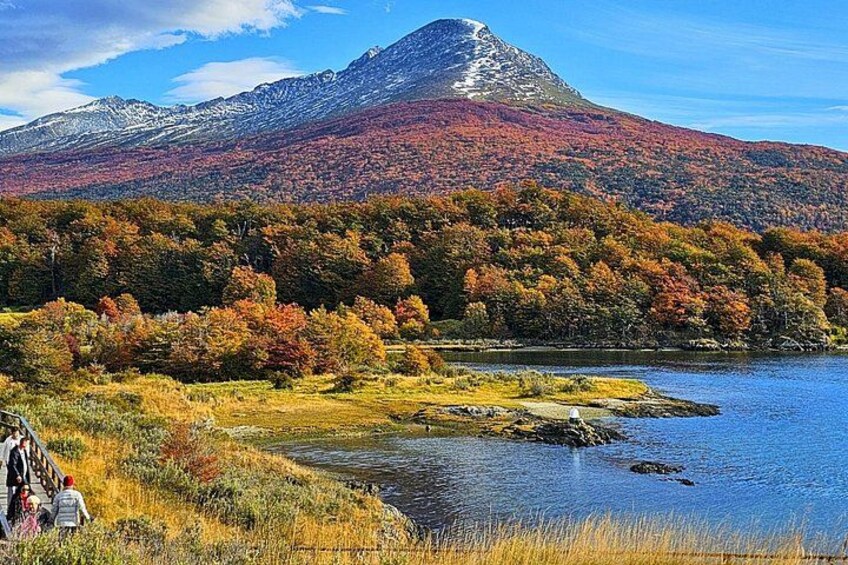 A lake surrounded by autumn-colored trees and a mountain in the background. 5