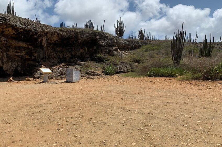 A desert landscape with sparse vegetation, rocky terrain, and a clear sky. 5