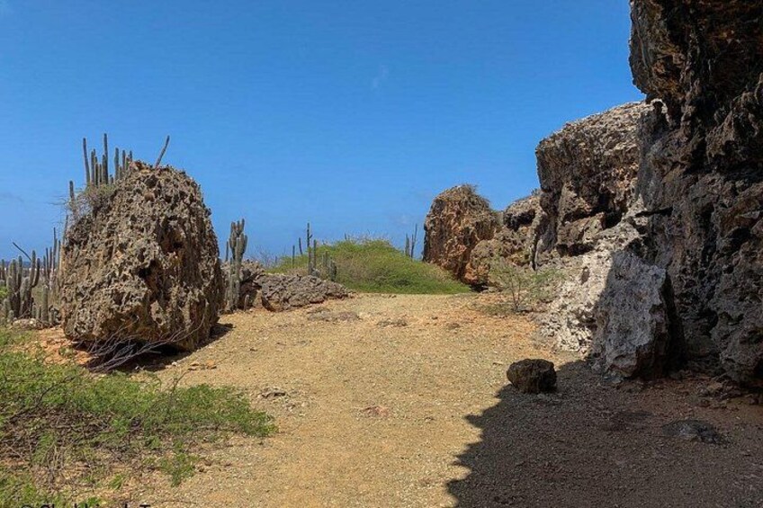 A rocky terrain with sparse vegetation and a clear blue sky. 2