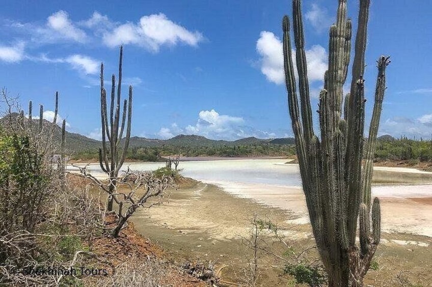 Washington Park Tour with Local Guide on Bonaire 3