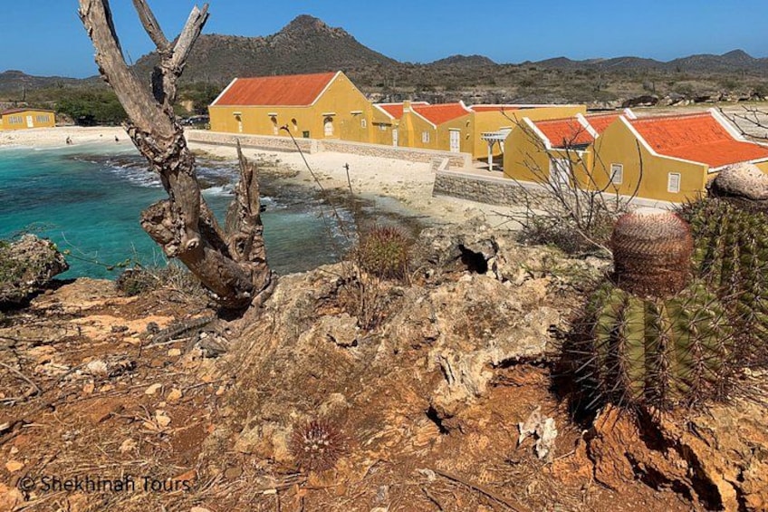 Washington Park Tour with Local Guide on Bonaire 2