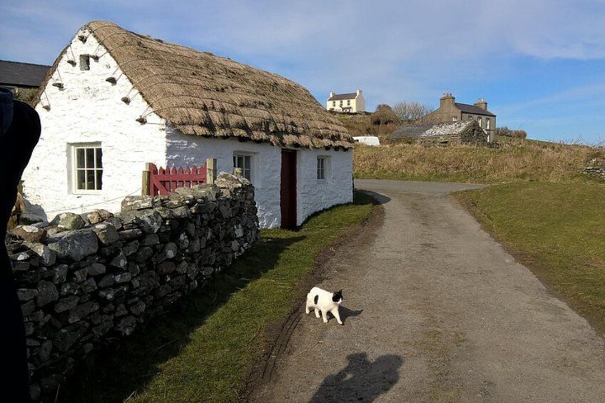 A rural road with a white house, a stone wall, and a thatched-roof building in the background. 2