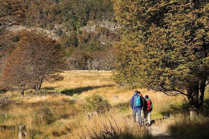 A group of people hiking on a trail surrounded by grass and trees. 2