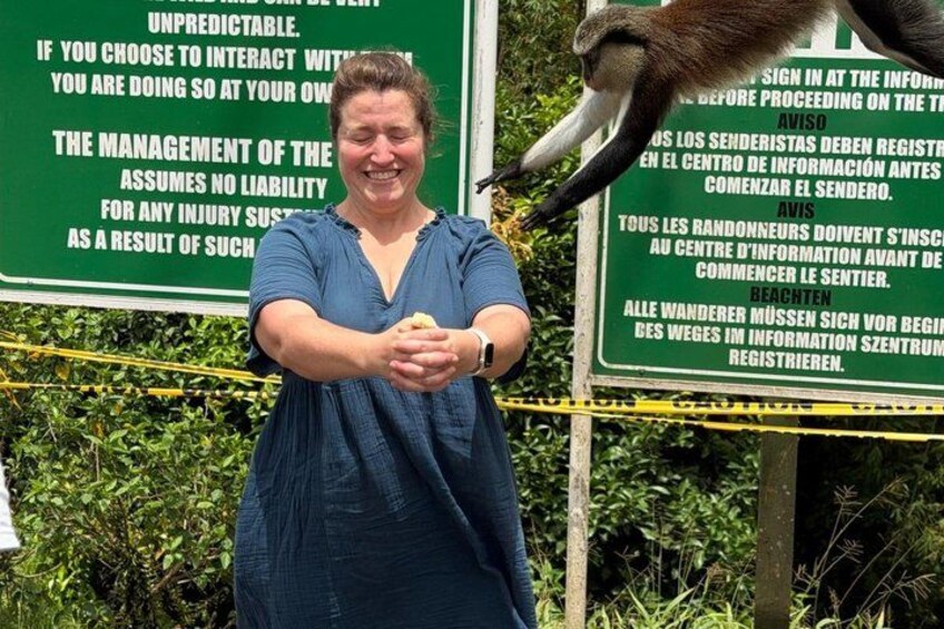 Into the Wild: Grenada Rainforest, Crater Lake & Mona Monkeys! 4