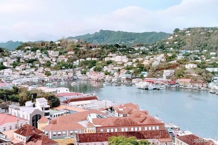 Into the Wild: Grenada Rainforest, Crater Lake & Mona Monkeys! 1