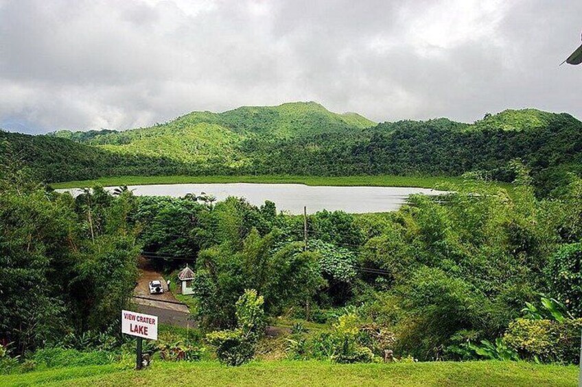 Into the Wild: Grenada Rainforest, Crater Lake & Mona Monkeys! 2