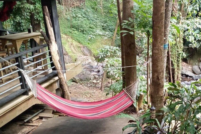 A hammock between trees in a forested area with a wooden structure in the background. 2