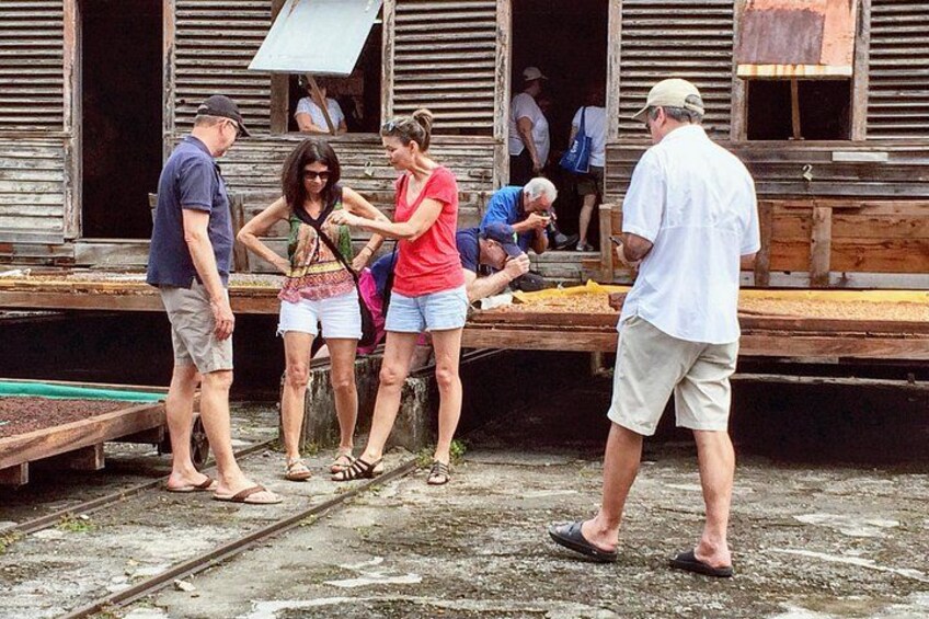 Private Grenada Tour: Tailor-Made for Your Perfect Day 4