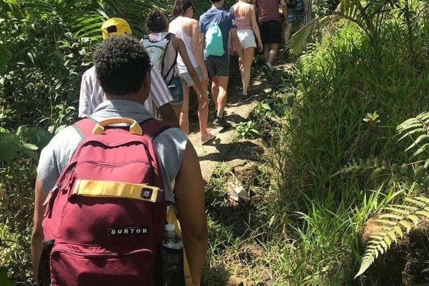 A group of people hiking on a trail surrounded by greenery. 5