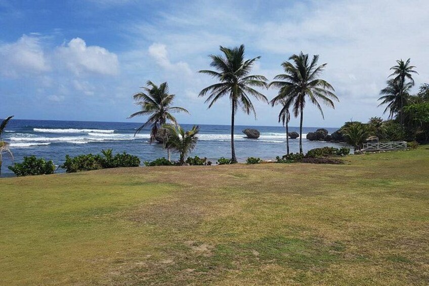 Barbados Coastal Sightseeing Private Tour 3