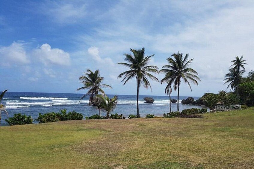 Barbados Full-day Private Tour 2