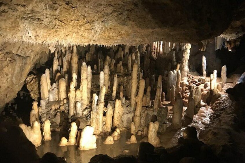 Barbados Full-day Private Tour 2
