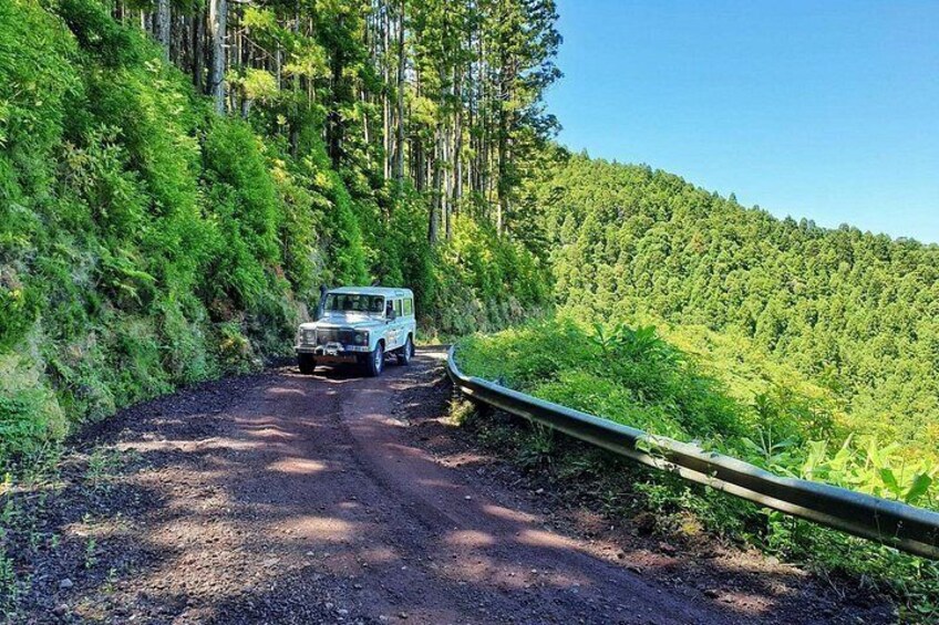 Discover the unexplored beauty of the island by jeep the Nordeste 3