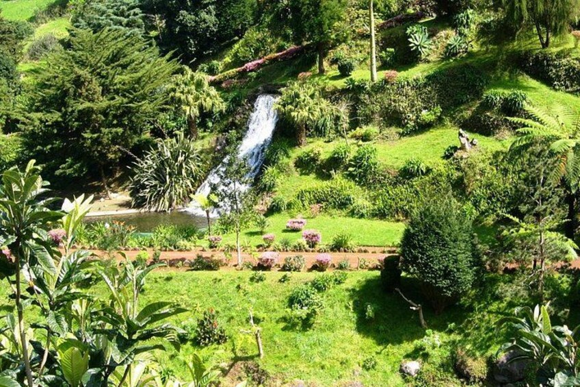 Een weelderige tuin met een waterval, dichte begroeiing en een kleine vijver. 2