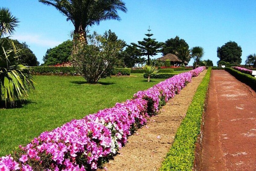 Een tuin met een rij roze bloemen, een palmboom en een rode pad. 5