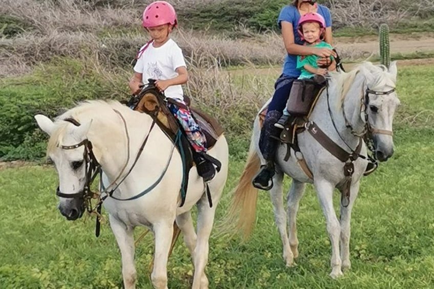 Aruba Horseback Riding Tour to Hidden Lagoon 1