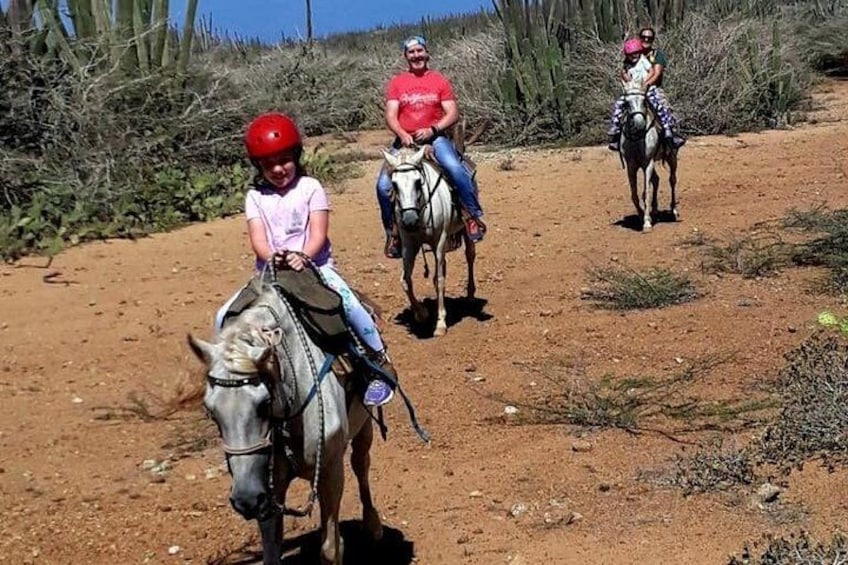Aruba Horseback Riding Tour to Hidden Lagoon 3