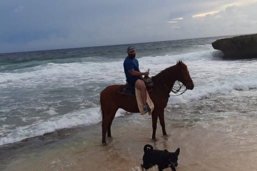 Aruba Countryside: Horseback Adventure to Urirama Cove 5