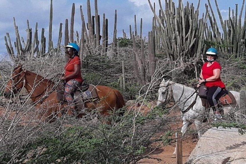 Two people riding horses in a desert landscape with cacti and sparse vegetation. 2