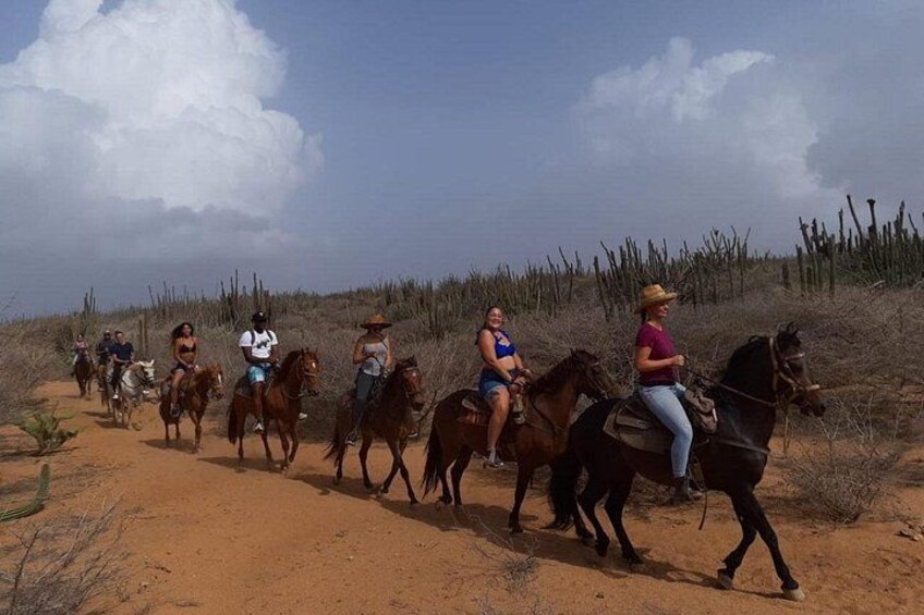 A group of people riding horses on a dirt path surrounded by sparse vegetation and cacti. 3
