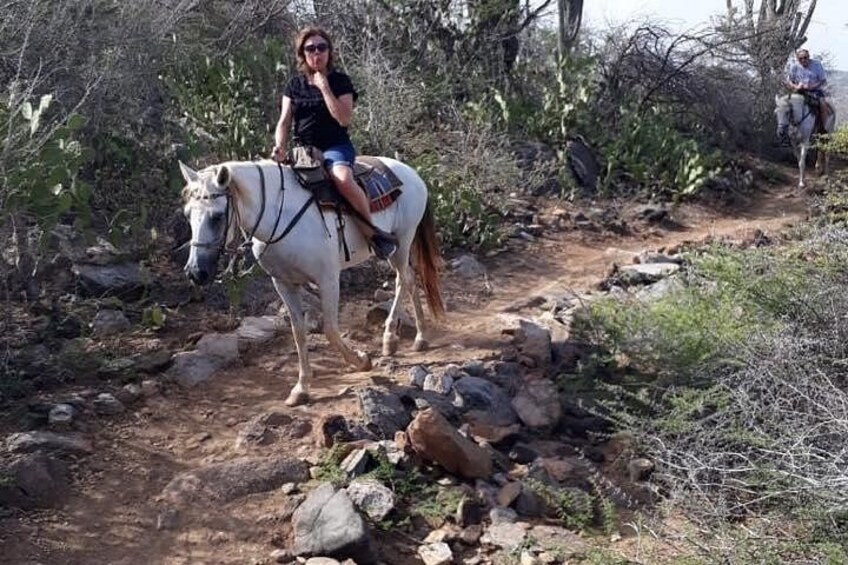 A person riding a white horse on a rocky trail surrounded by sparse vegetation. 5