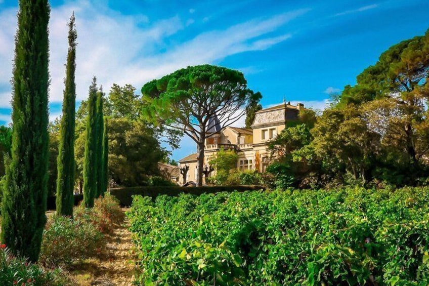 Avignon's history, local culture & the wines of Châteauneuf du Pape private tour 2