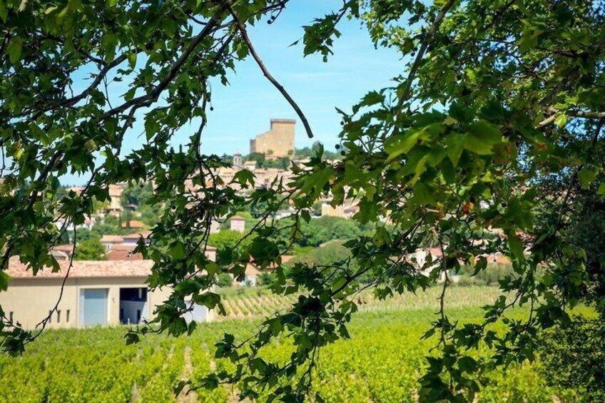 Avignon's history, local culture & the wines of Châteauneuf du Pape private tour 2