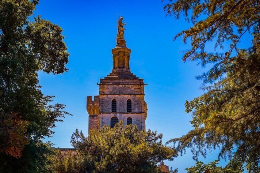 Avignon's history, local culture & the wines of Châteauneuf du Pape private tour 1