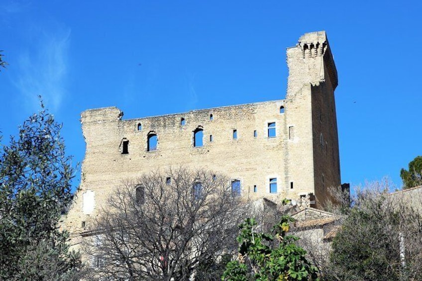 Avignon & the vineyards of Châteauneuf du Pape, where life is lived in its wine