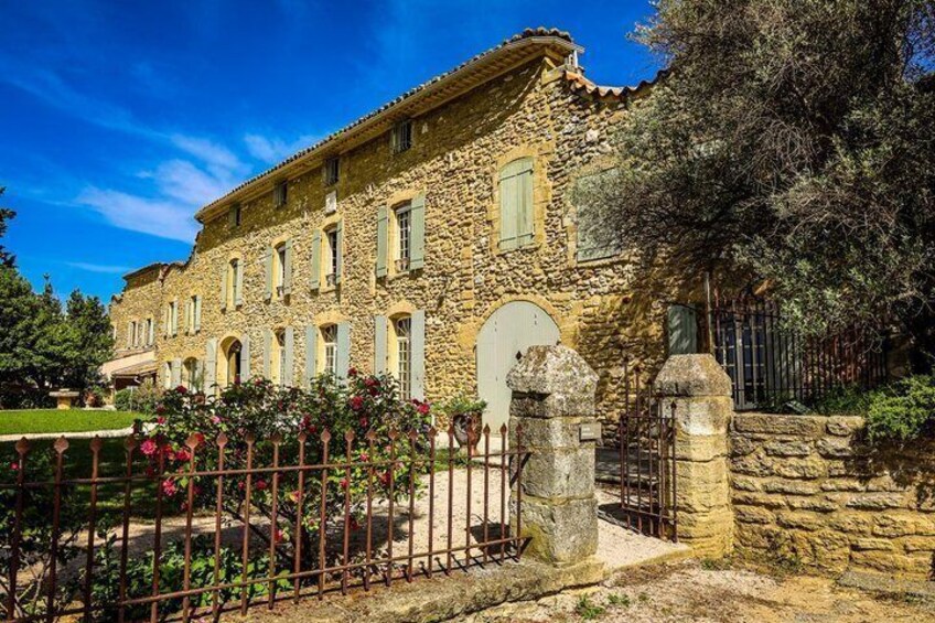 Avignon's history, local culture & the wines of Châteauneuf du Pape private tour 3