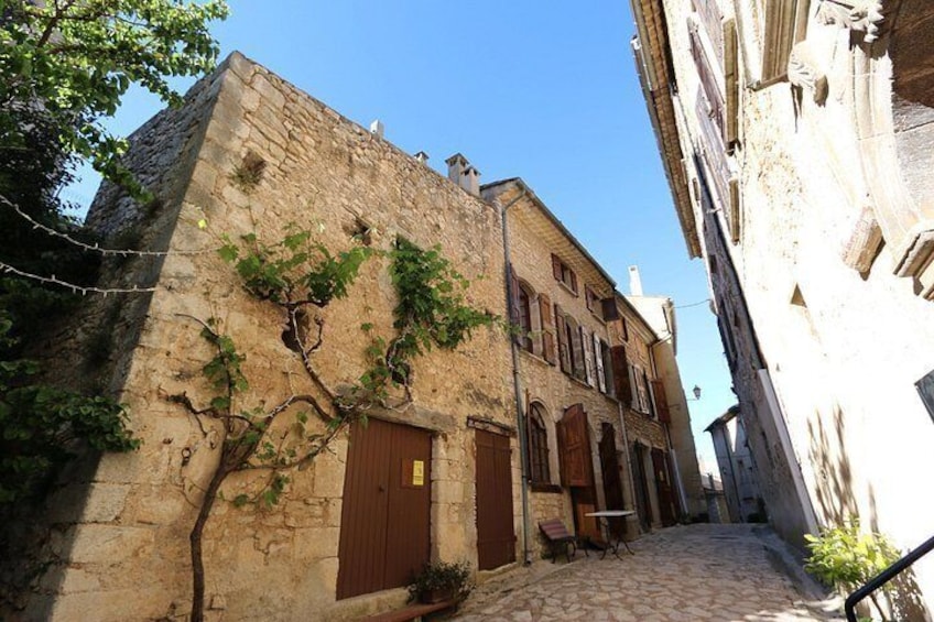Avignon and the inspirational villages of the Vauclause - L'Isle sur la Sorgue, Fontaine de Vaucluse, bric-a-brac, antiques & renaissance frescos 2