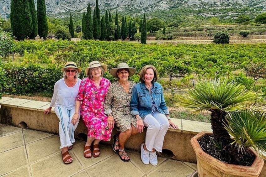 Medieval villages Les Baux, St Rémy de Provence & Alpilles wine 4