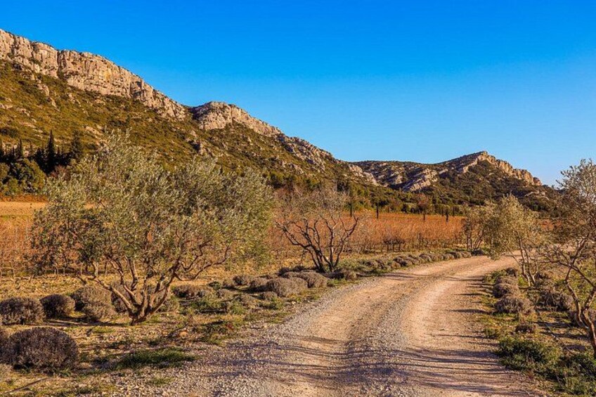 A dirt road winding through a mountainous landscape with sparse vegetation and rocky terrain. 4