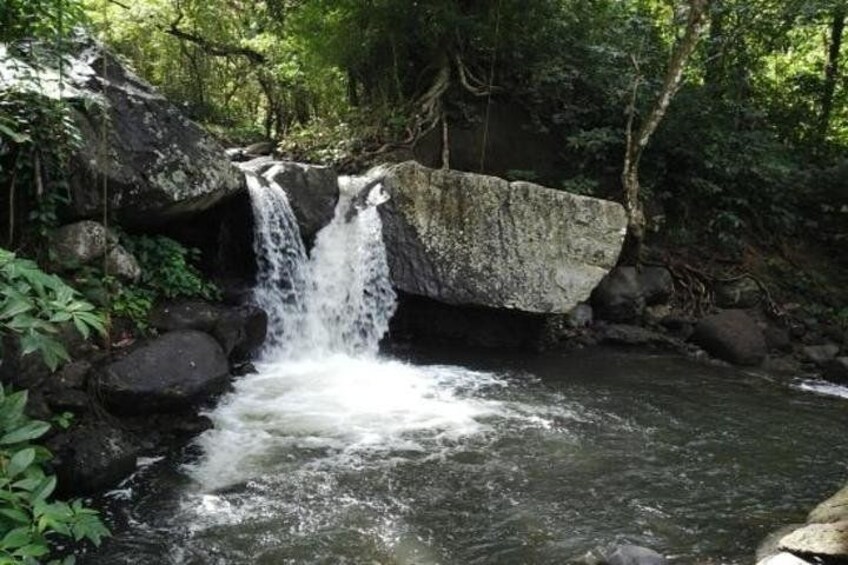 A waterfall flowing over rocks in a forested area. 3