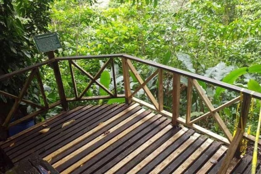 Vermont Nature Trail Bridge 1