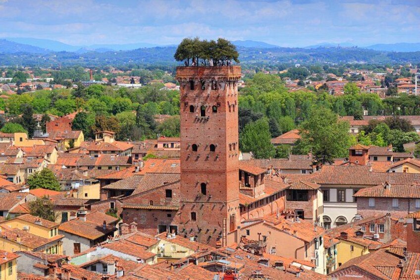 Torre del Guinigi 2