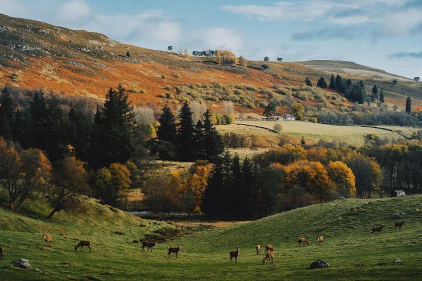 Whisky Tour & Stirling Castle 3