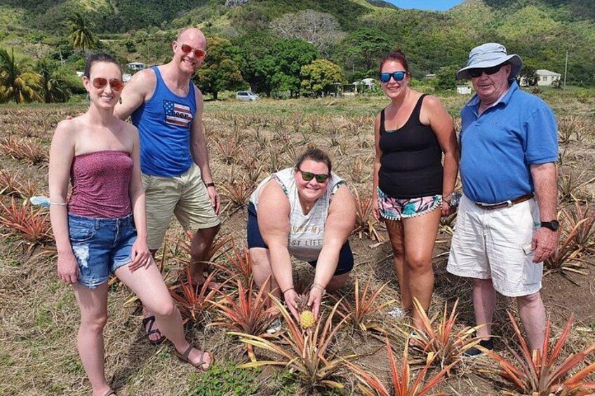 Cultural and Historical Home Tour in The Antiguan Experience 2