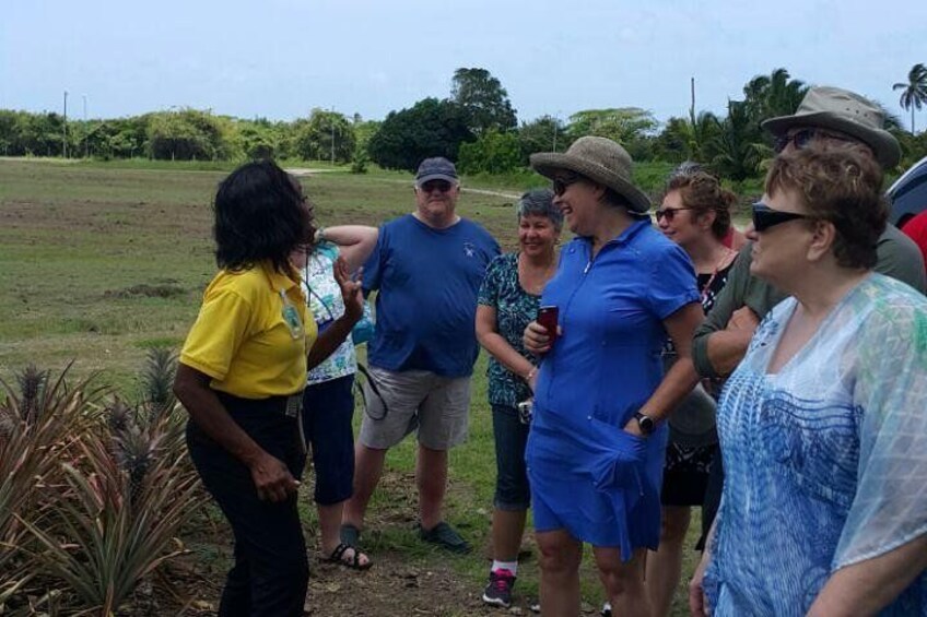 Cultural and Historical Home Tour in The Antiguan Experience 4