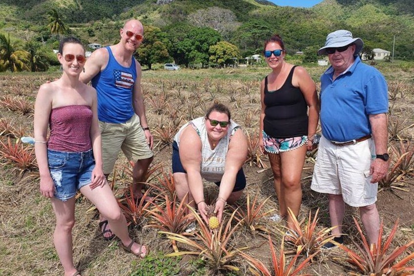 Cultural and Historical Home Tour in The Antiguan Experience 2