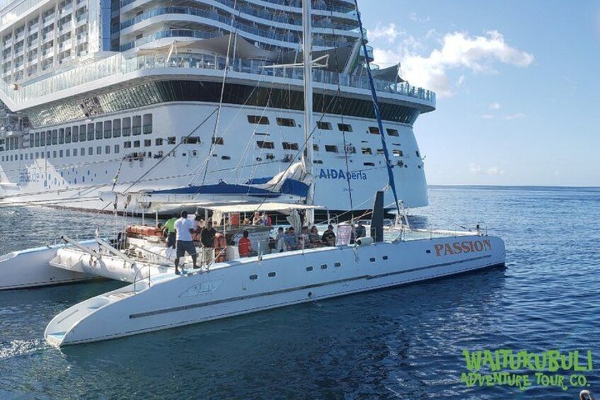 Waitukubuli Dolphin and Whale Watch in Dominica 2