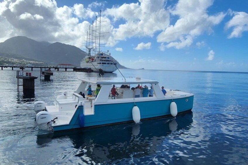 Waitukubuli Dolphin and Whale Watch in Dominica 5